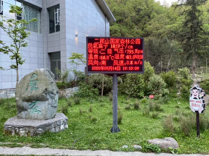 HY-100B空气负氧离子监测系统